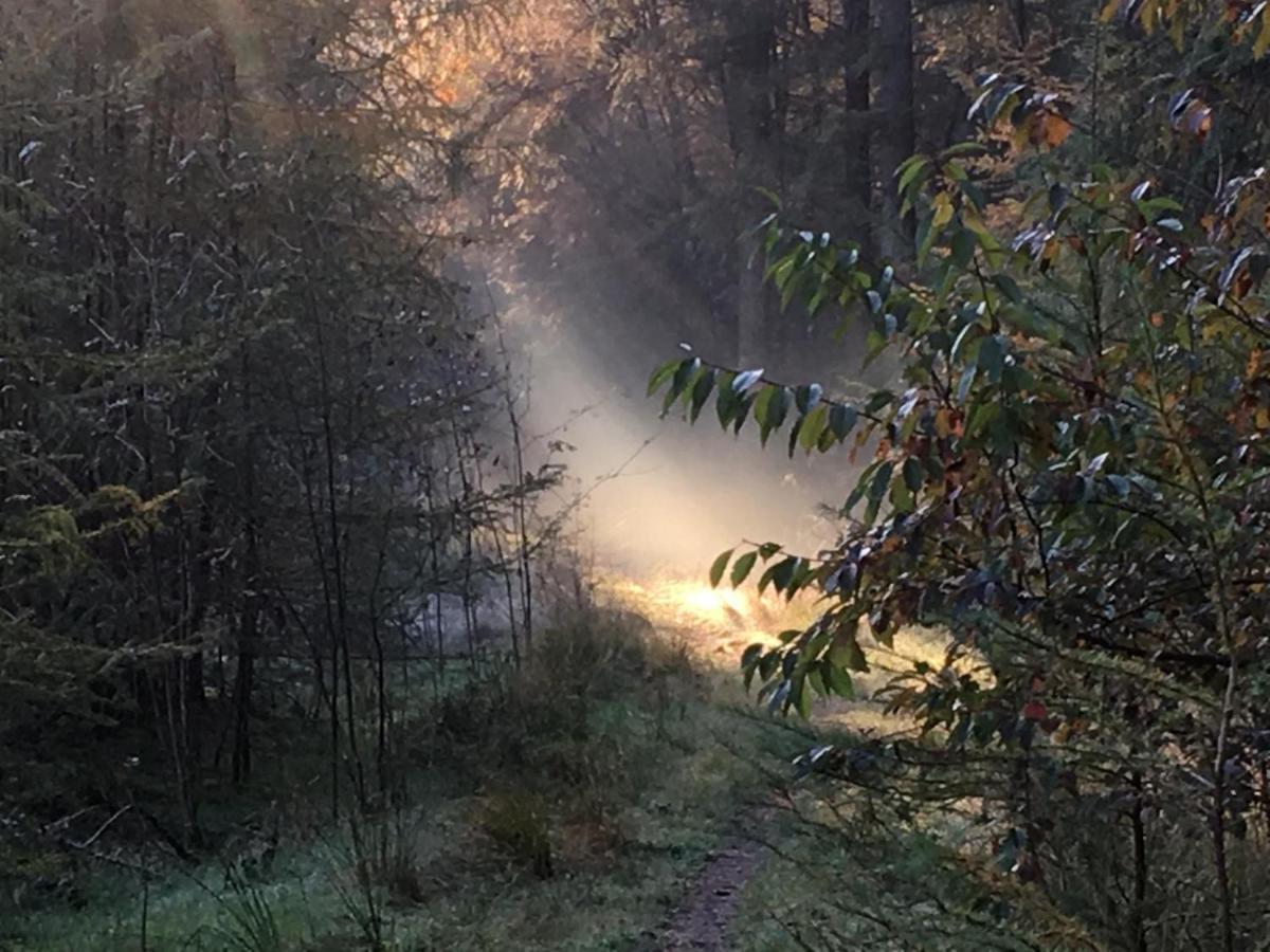Luxe Natuurhuisje Met Jacuzzi En Haard In Drenthe, Echten Echten  Kültér fotó
